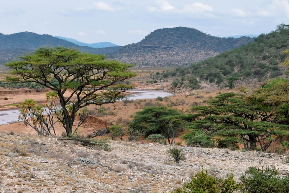 Samburu Nemzeti Park