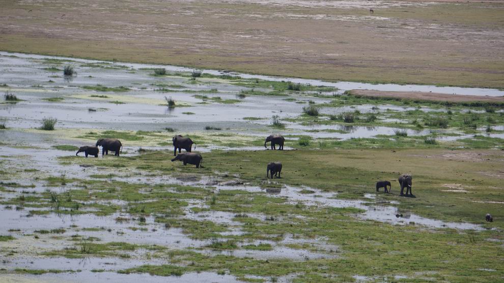 Amboseli Nemzeti Park Kenya