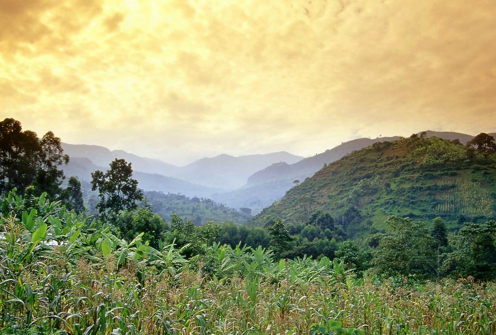 Elgon Nemzeti Park Uganda