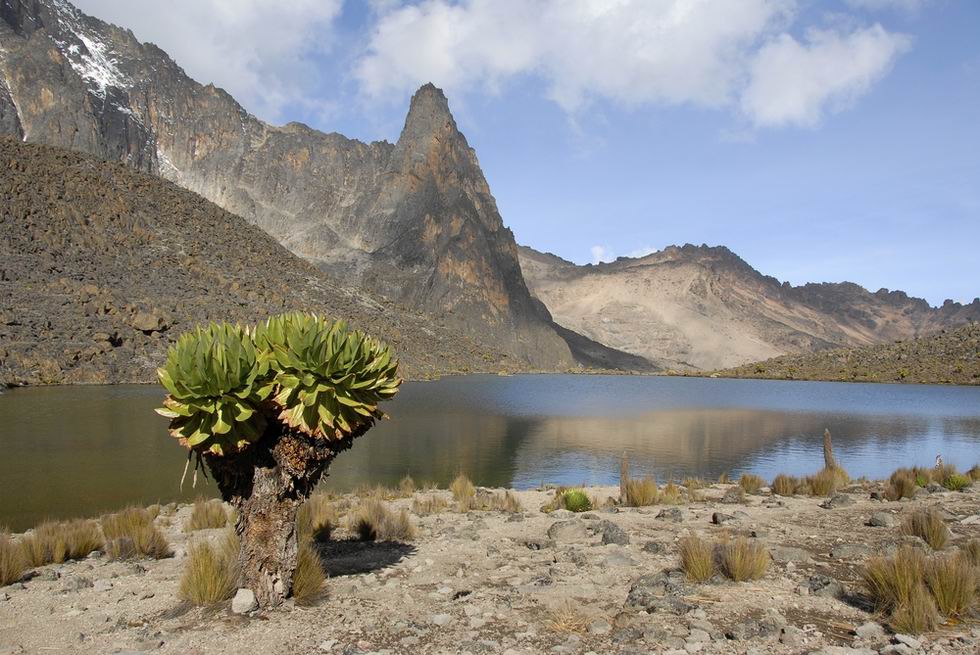 Mount Kenya nemzeti park