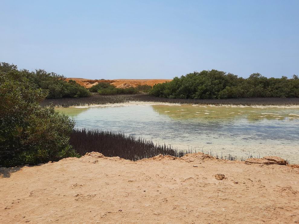 Nabq Nemzeti Park Egyiptom