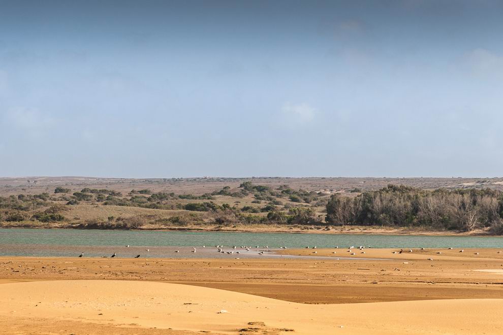 Souss-Massa Nemzeti Park Marokkó