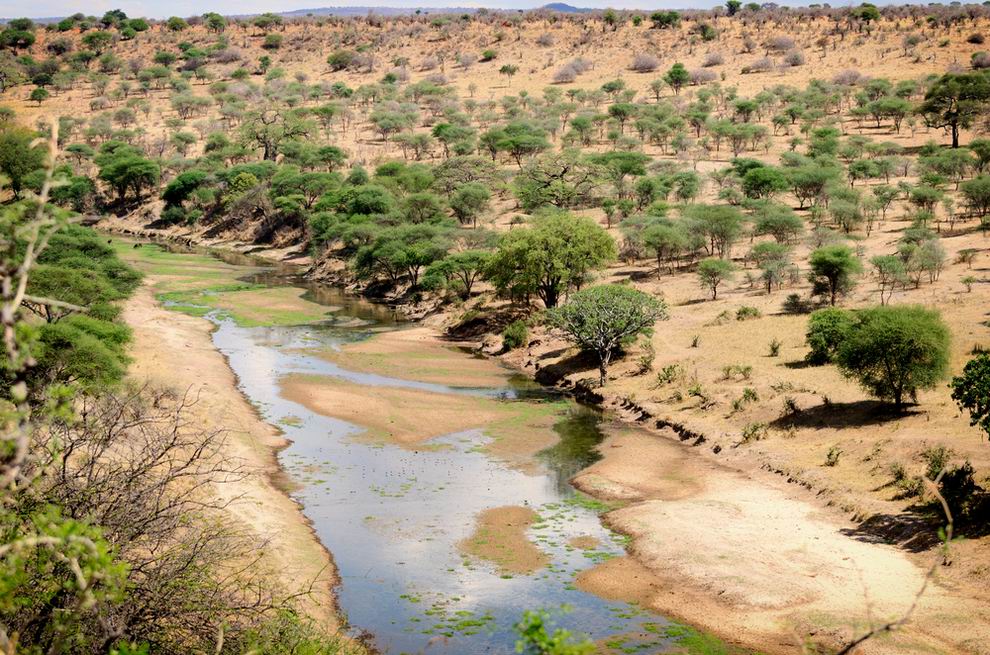 Tarangire Nemzeti Park