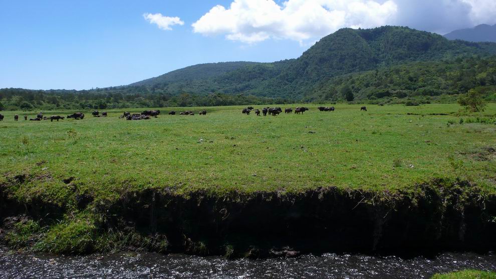 arusha nemzeti park