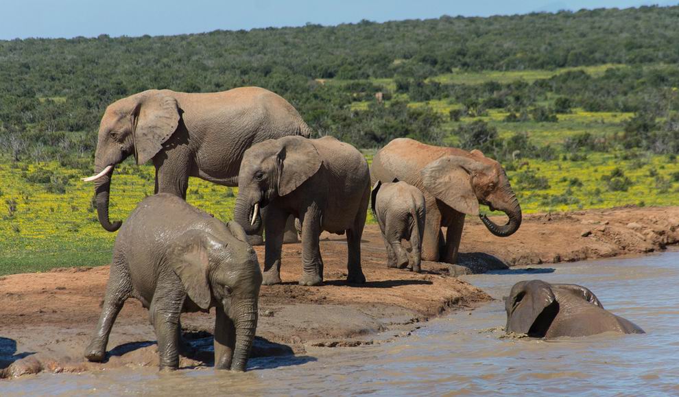 arusha nemzeti park tanzánia