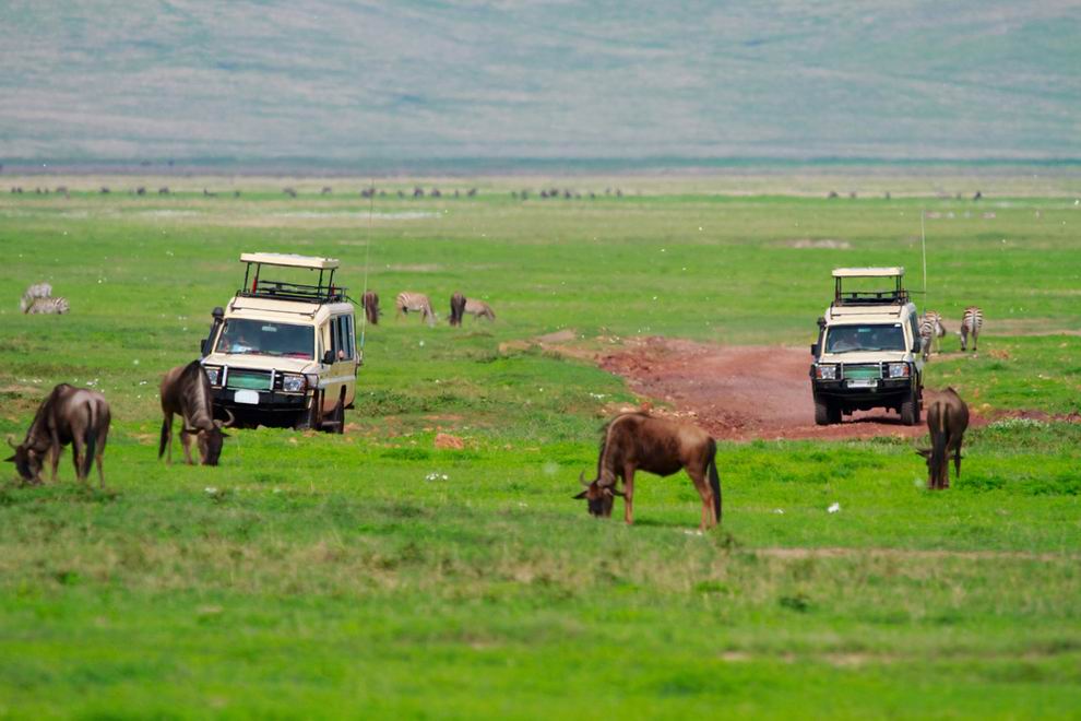 ngorongoro-kráter szafari Tanzánia