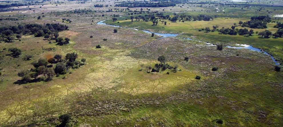 okavango delta nemzeti park