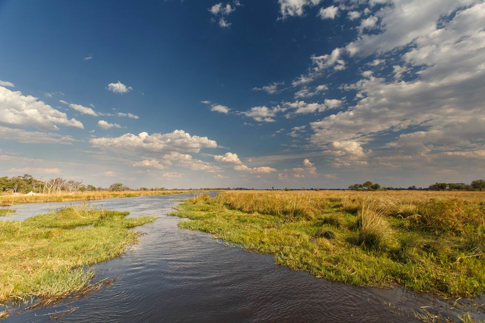 okavango delta nemzeti park